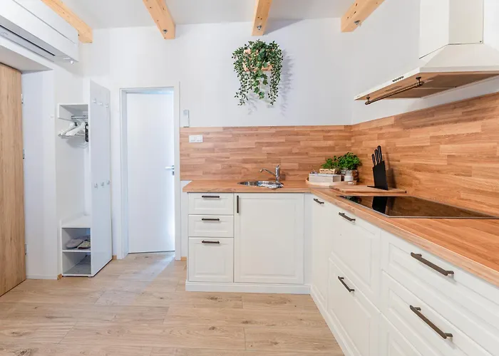 Mocilnik Maison d'hôtes Begunje na Gorenjskem